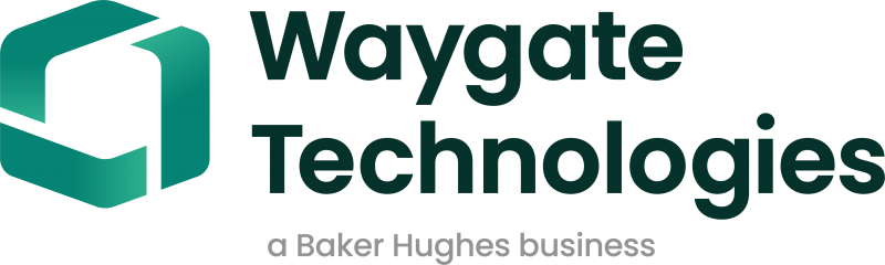 Waygate Technologies logo Waygate Technologies logo